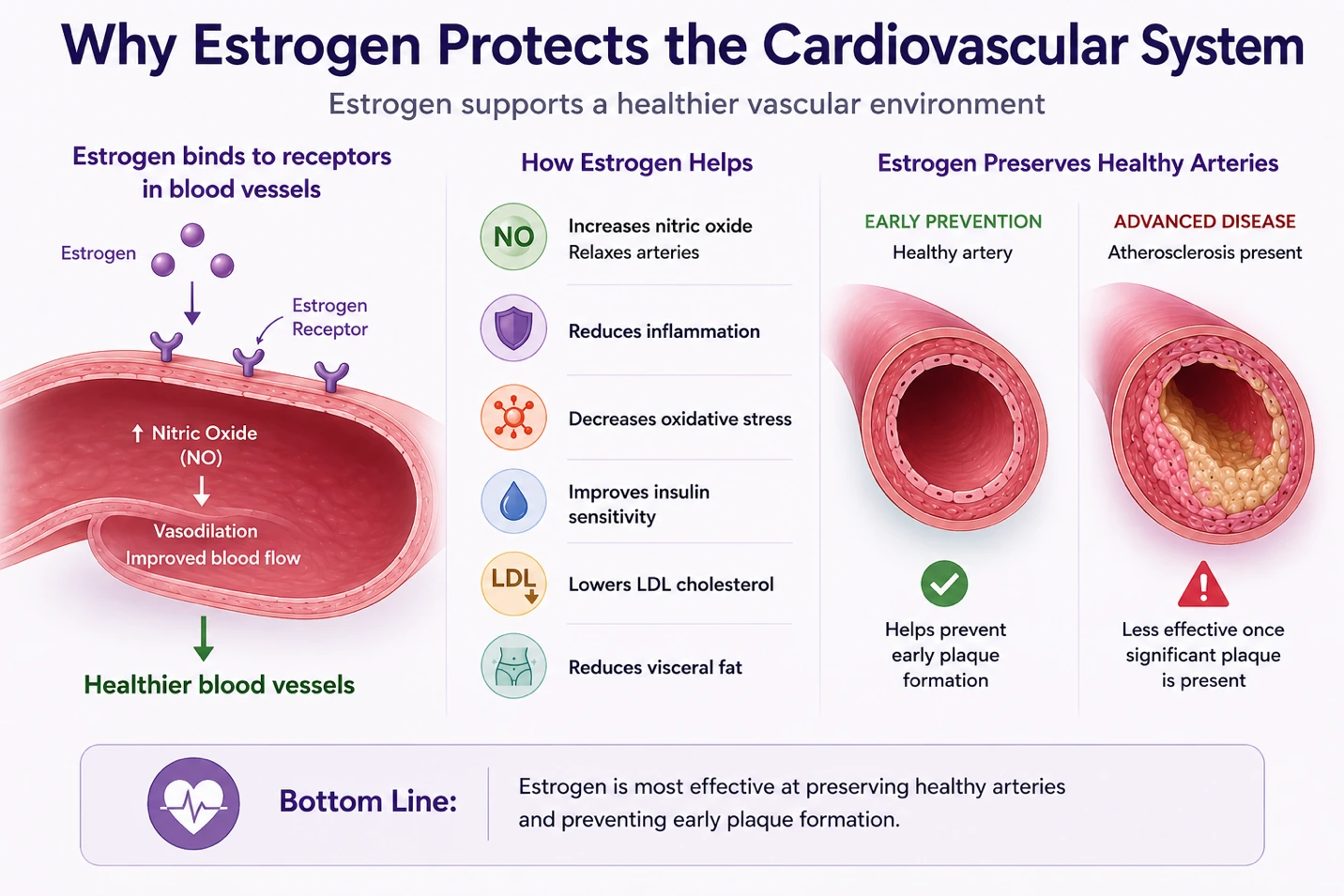 Article illustration 1 for Does Hormone Therapy Protect Your Heart?