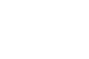 Flow Space logo