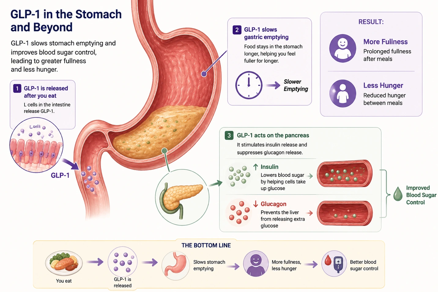 Article illustration 2 for How to Avoid Weight Regain After Stopping a GLP-1