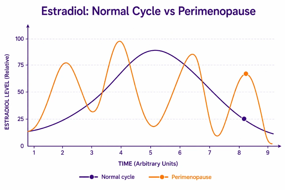 Article illustration 2 for Is Your Anxiety Caused by Perimenopause?