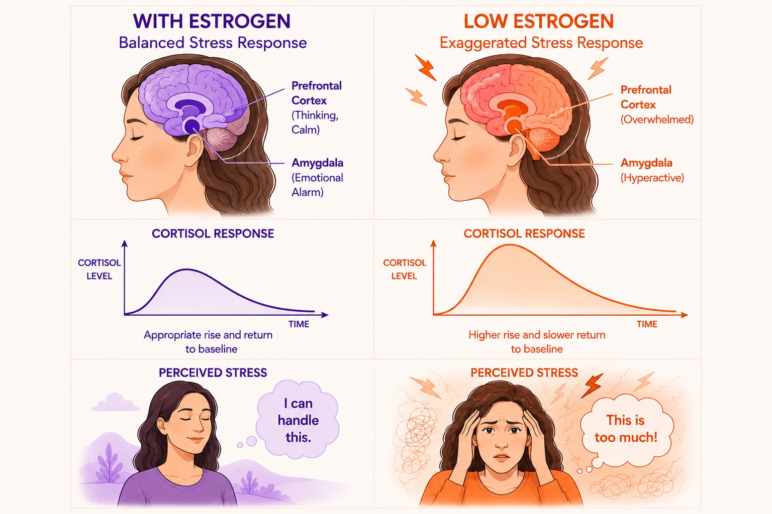 Article illustration 3 for Is Your Anxiety Caused by Perimenopause?