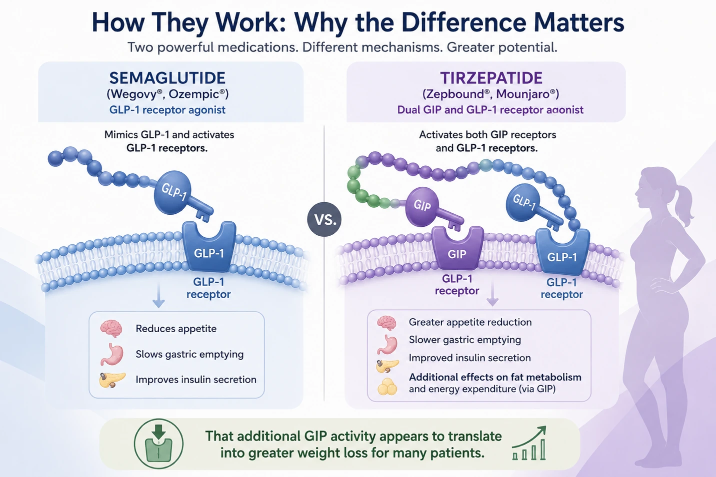 Article illustration 1 for Making the Switch: Understanding GLP-1 Hopping