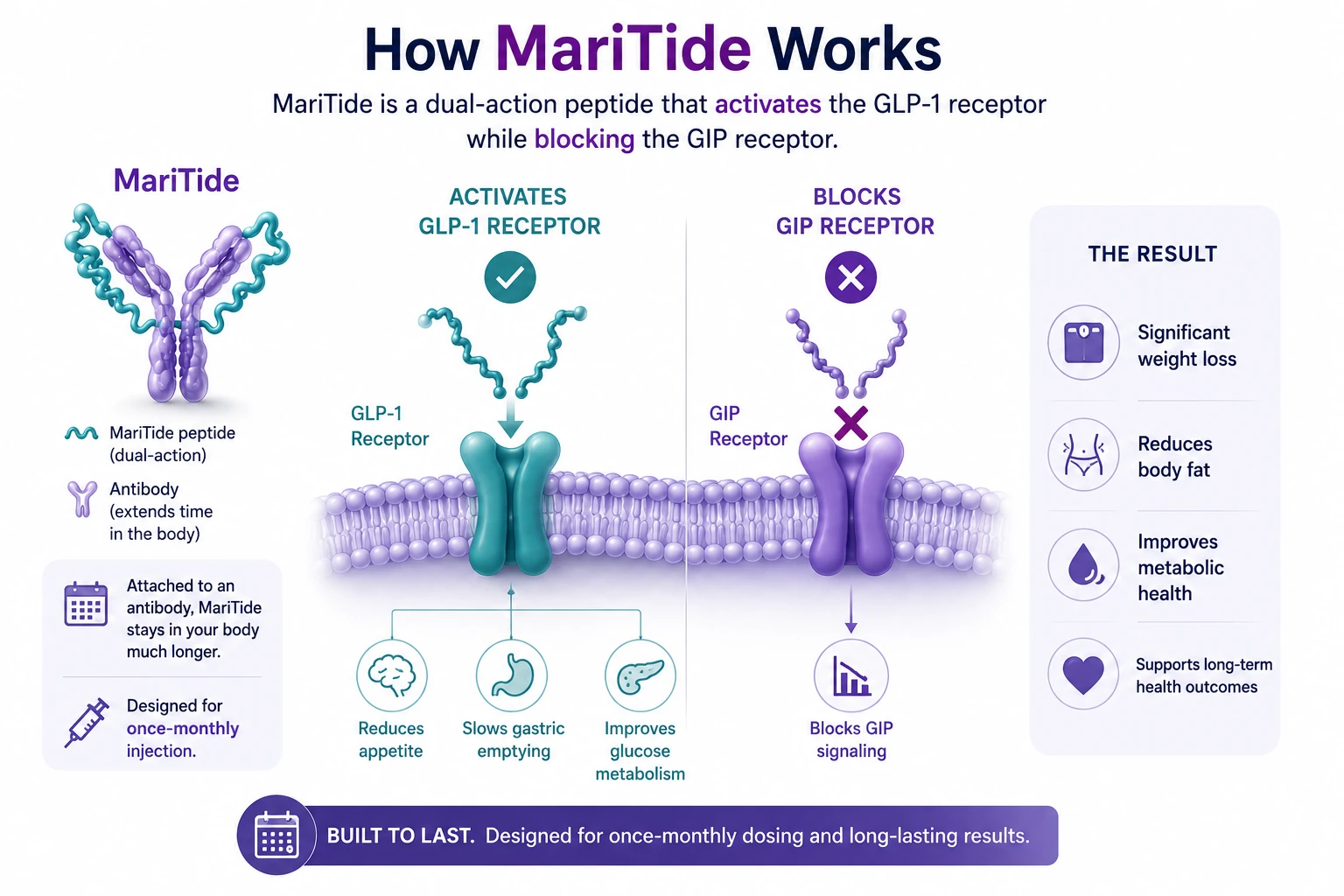 MariTide monthly GLP-1 therapy illustration