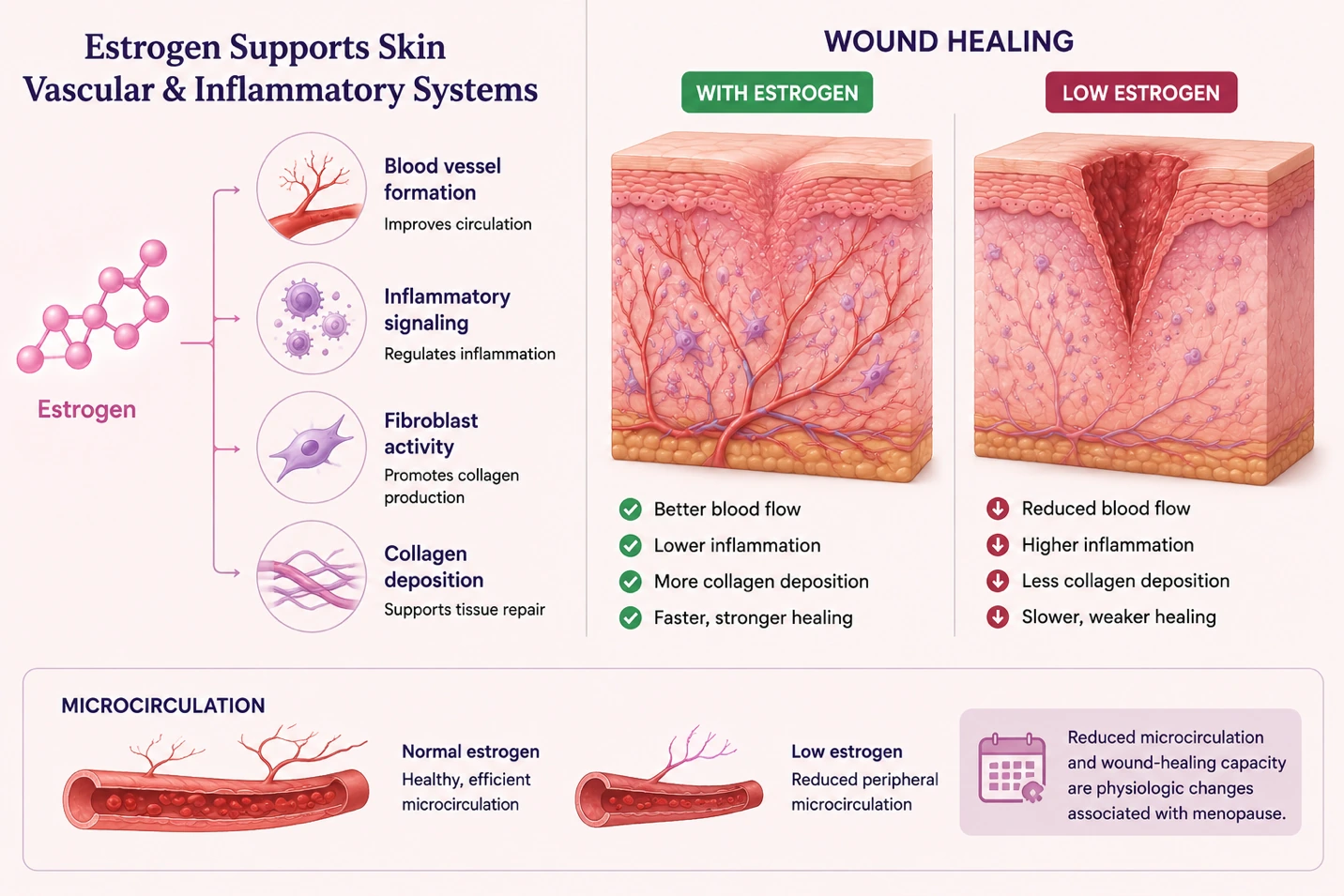 Article illustration 4 for What Really Happens To Your Skin In Menopause