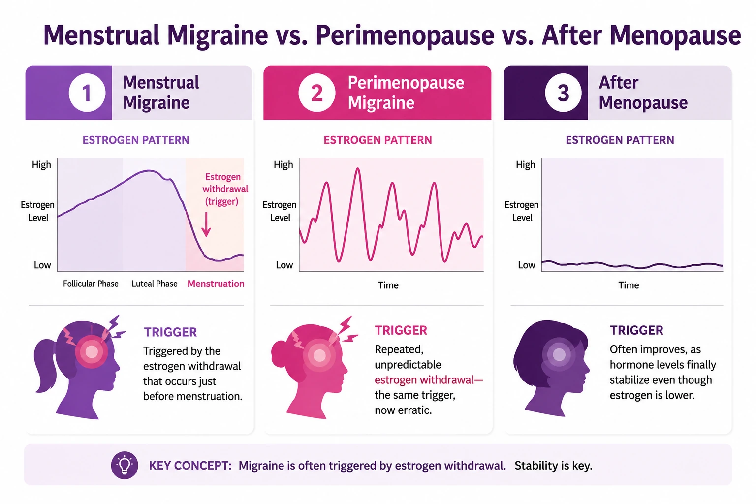 Article illustration 3 for Why Hormonal Migraines Happen